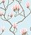 Обои Cole & Son The Contemporary Collection
