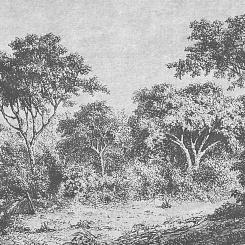 Фотообои Wall Street ESTAMPE