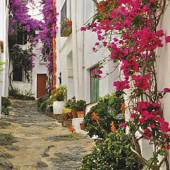 Фрески/Панно ORTOGRAF Города и страны