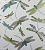 Обои Matthew Williamson SAMANA