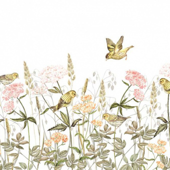 Фотообои Мне обои