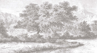 Фотообои Wall Street ESTAMPE