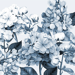 Фотообои Wall Street HERBARIUM