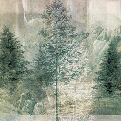 Фотообои My Fresco Деревья