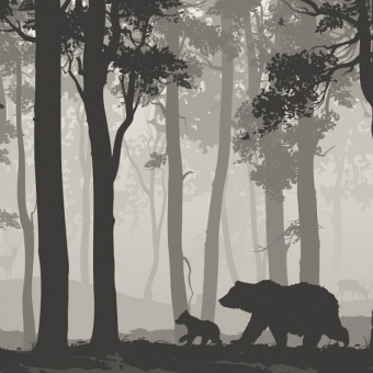 Фотообои Мне обои