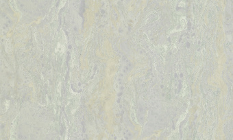 Обои Cassanie Xenia