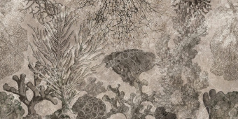 Фотообои My Fresco Животные и птицы