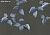 Обои Fromental Conversational