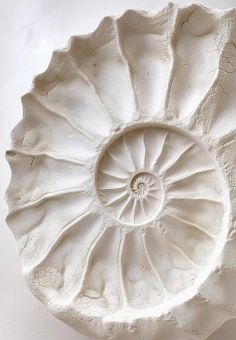 Фрески/Панно Rfresco AI