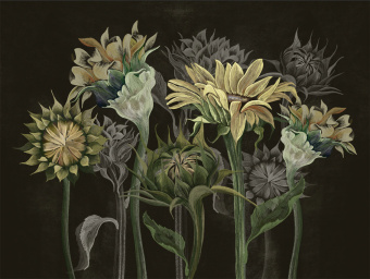 Фотообои Wall Street SUMMERTIME