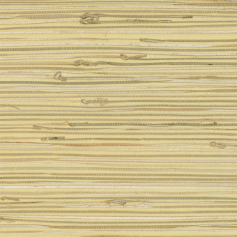 Обои Yate Into the Wild