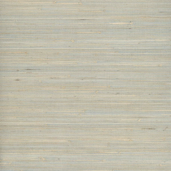 Обои Yate Into the Wild