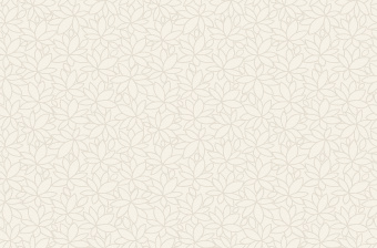 Обои Andrea Rossi BERGGI