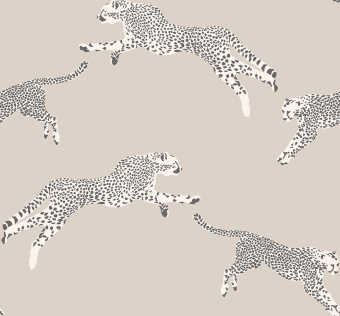 Обои JV LICENZE Scalamandre