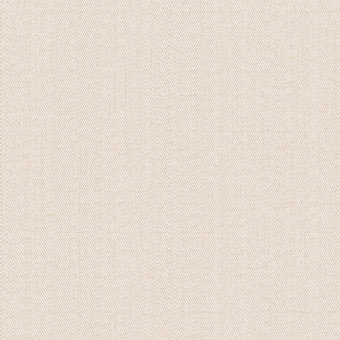 Обои Alessandro Allori Bruni