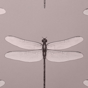 Обои Andrea Rossi Cavolli