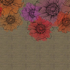  Обои Skinwall Coordinated Collection