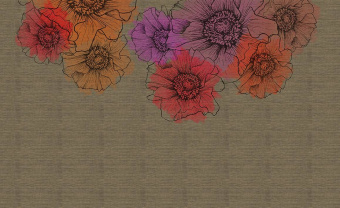  Обои Skinwall Coordinated Collection