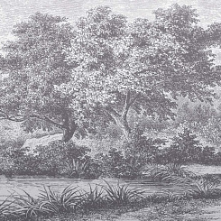 Фотообои Wall Street ESTAMPE