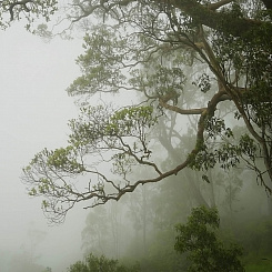 Фотообои Мне обои