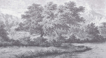 Фотообои Wall Street ESTAMPE