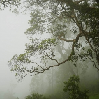 Фотообои Мне обои