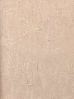 Обои Cassanie Sylvia