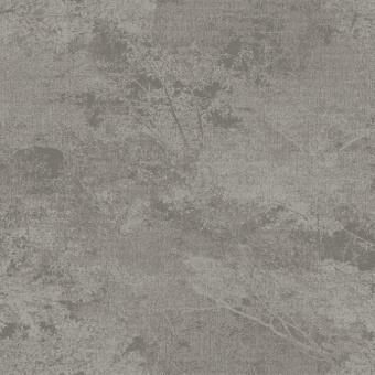 Обои Brewster Evolution 3