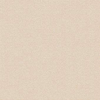 Обои Alessandro Allori Bruni