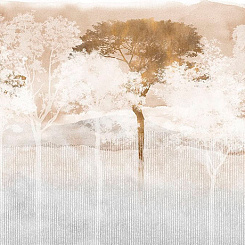 Фотообои My Fresco Деревья