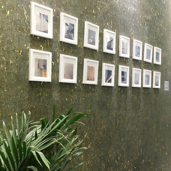 Обои Yate Grass and Wood