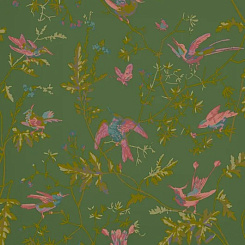 Обои Cole & Son Selection of Hummingbirds