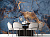 Обои Artmegahome Флюид Art
