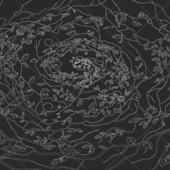 Фотообои My Fresco Line-Art