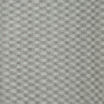 Обои Andrea Rossi Palmaria