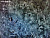 Фотообои Wall Street Aquarelle