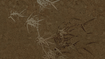 Фотообои MUANCE Volume 5