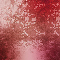  Обои Skinwall Contemporary Collection