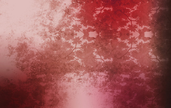  Обои Skinwall Contemporary Collection