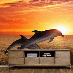 Обои Artmegahome Животные