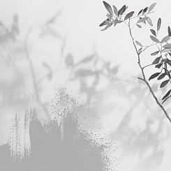 Фотообои Wall Street VETVE 22