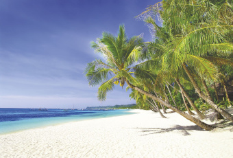 Фрески/Панно ORTOGRAF