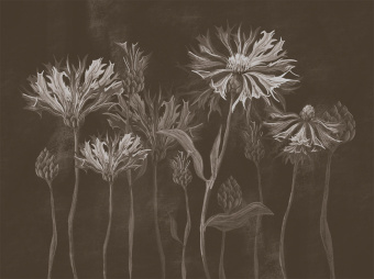 Фотообои Wall Street SUMMERTIME