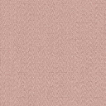 Обои Alessandro Allori Bruni