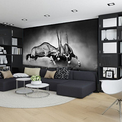 Обои Artmegahome Черно-белые