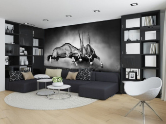 Фотообои Artmegahome Черно-белые