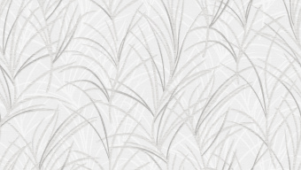 Обои Andrea Rossi BERGGI