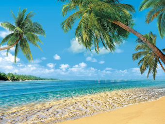 Фрески/Панно ORTOGRAF