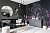 Обои Artmegahome Тропические растения