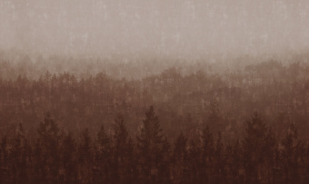 Фотообои Co.De CODE 01